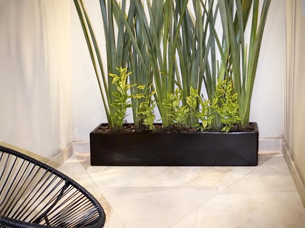 شقة Flats Friends Condesa-Pelotari مدينة مكسيكو الغرفة الصورة